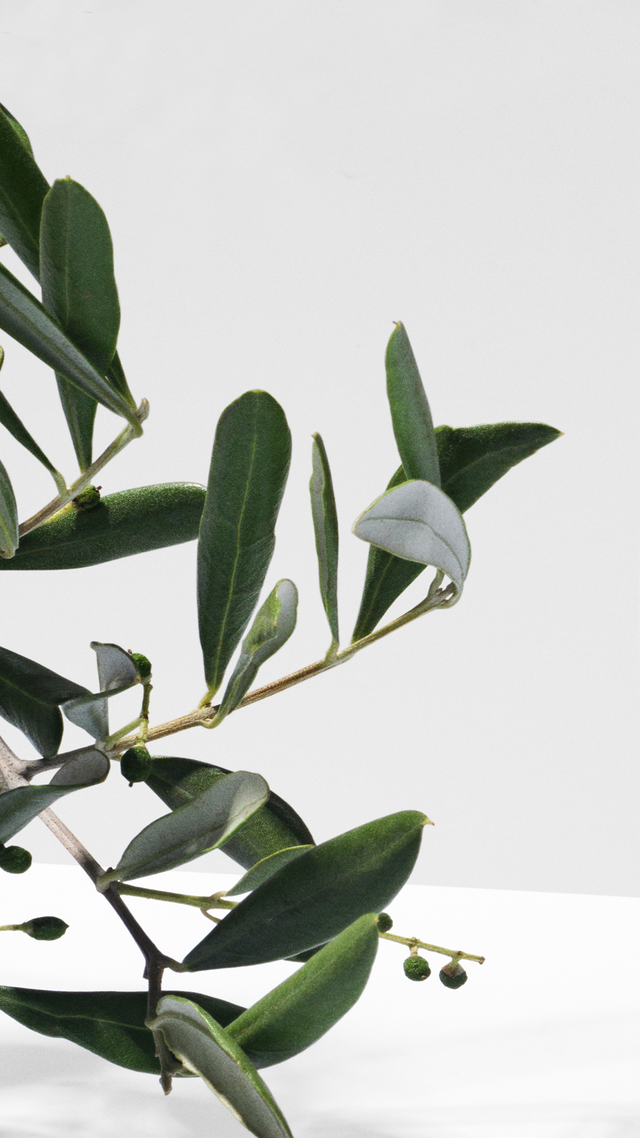 Quiz mobile background 4